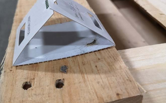 Skægkræ i skægkræ fælde